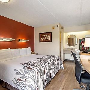 Suite King Room Smoke